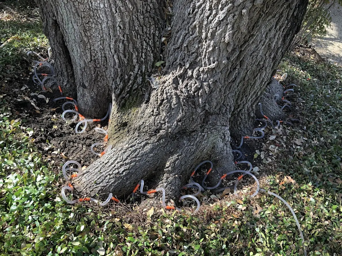 Detailed Shrub and Hedge Trimming job site in Yoder